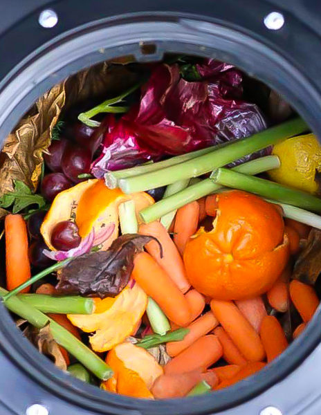 Why You Can – and Should! ~ Compost